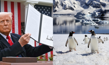 Trump Impone Aranceles a Islas Habitadas Solo por Pingüinos: ¿Decisión Económica o Show Político?
